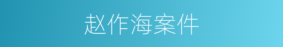 赵作海案件的同义词