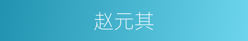 赵元其的同义词