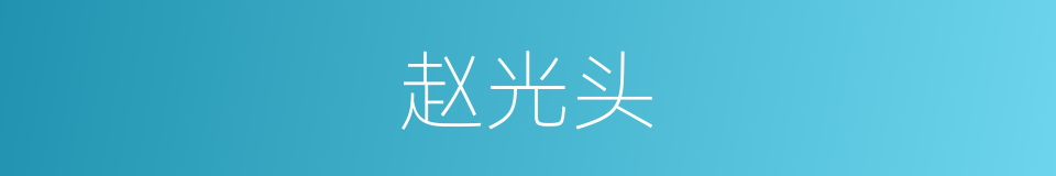 赵光头的同义词