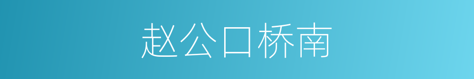 赵公口桥南的同义词