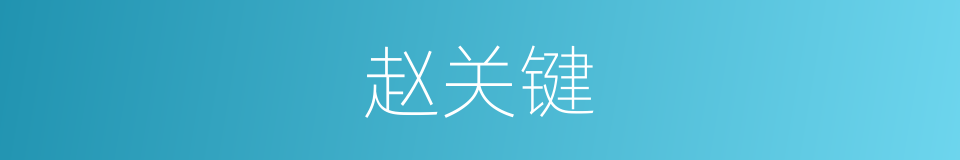 赵关键的同义词