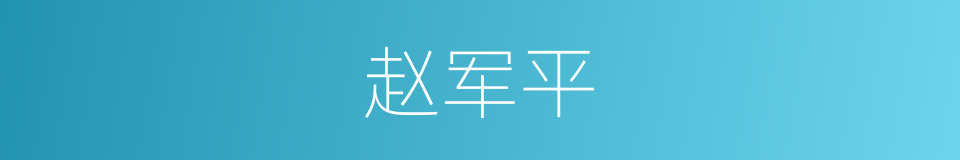 赵军平的同义词