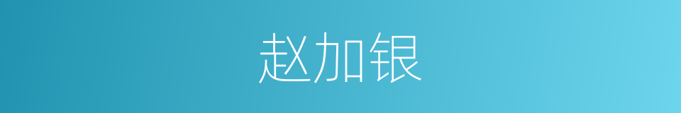 赵加银的同义词