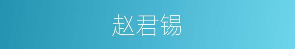 赵君锡的同义词