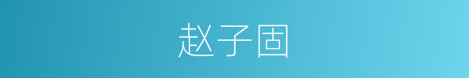 赵子固的同义词