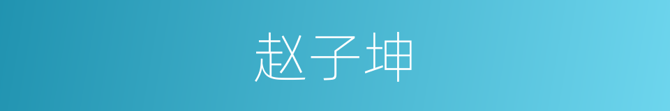 赵子坤的同义词