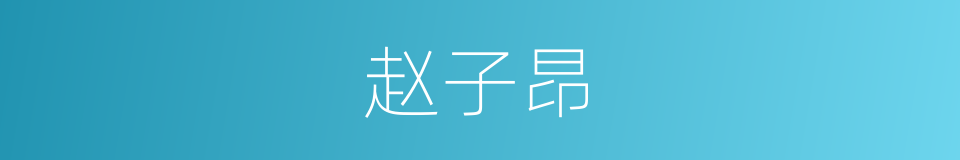 赵子昂的同义词