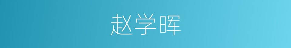 赵学晖的同义词
