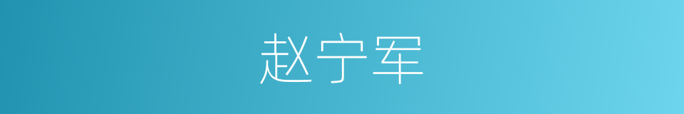 赵宁军的同义词