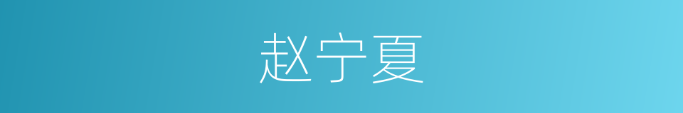 赵宁夏的同义词