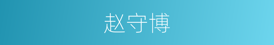 赵守博的同义词