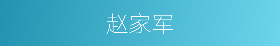 赵家军的同义词