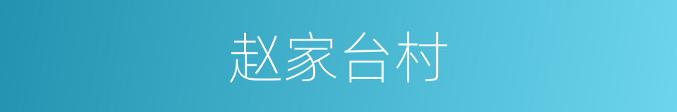赵家台村的同义词