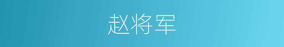 赵将军的同义词