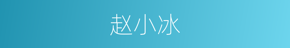 赵小冰的同义词