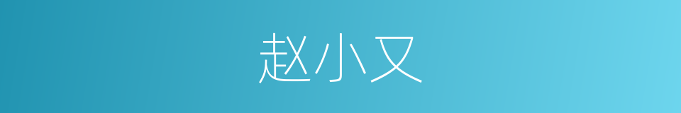 赵小又的同义词