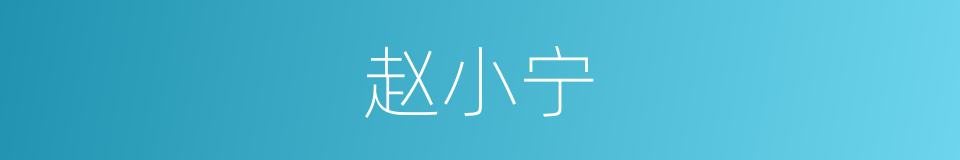 赵小宁的同义词