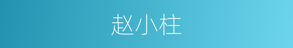 赵小柱的同义词