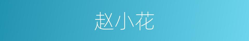 赵小花的同义词