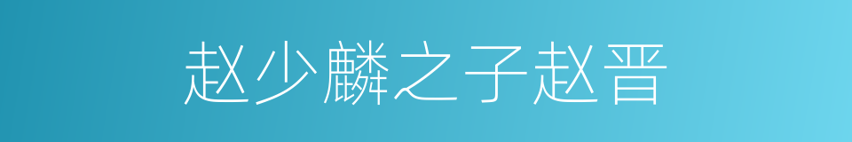 赵少麟之子赵晋的同义词