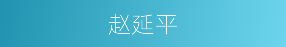赵延平的同义词