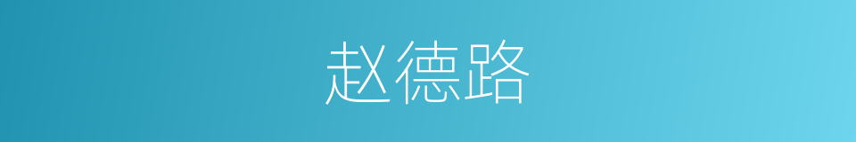 赵德路的同义词