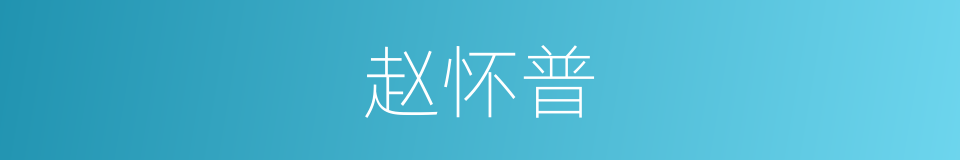 赵怀普的同义词