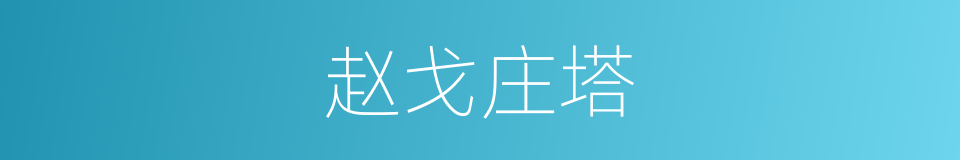 赵戈庄塔的同义词