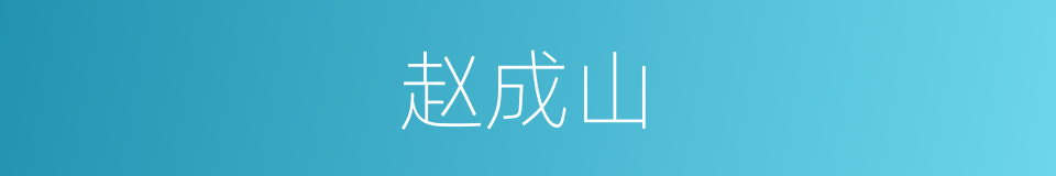 赵成山的同义词