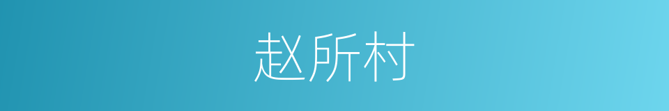 赵所村的同义词