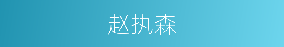 赵执森的同义词