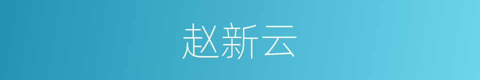 赵新云的同义词