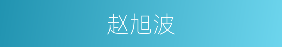 赵旭波的同义词