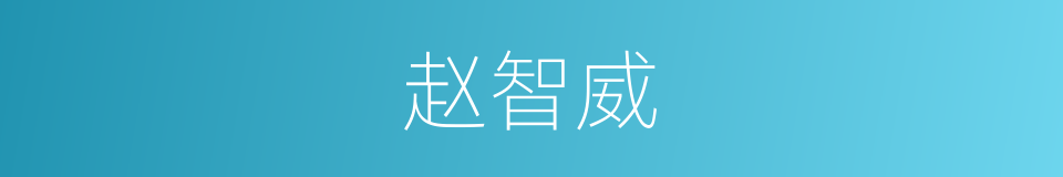 赵智威的同义词