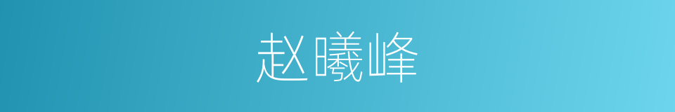 赵曦峰的同义词