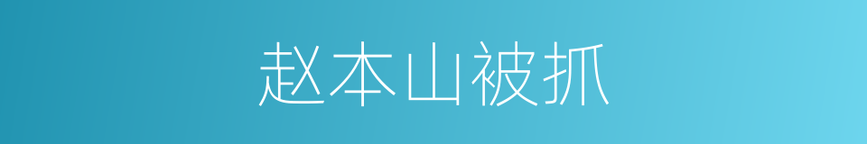 赵本山被抓的同义词