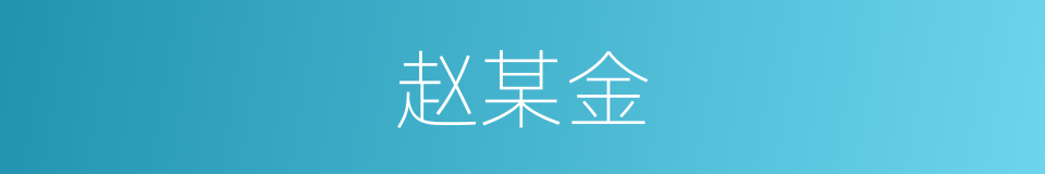 赵某金的同义词