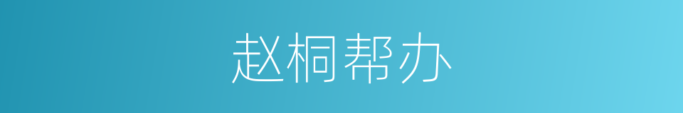 赵桐帮办的同义词