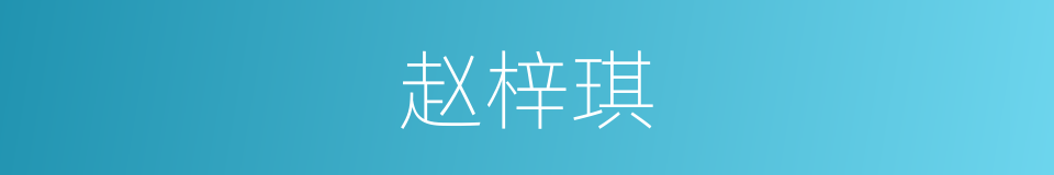 赵梓琪的同义词