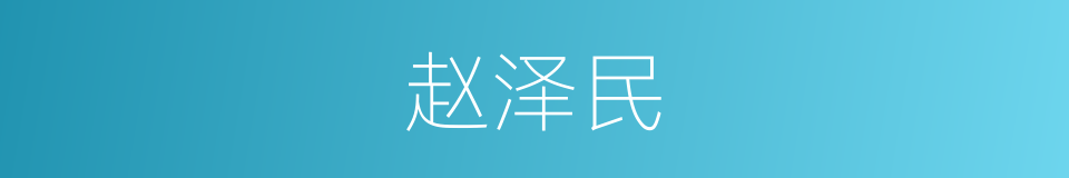 赵泽民的同义词