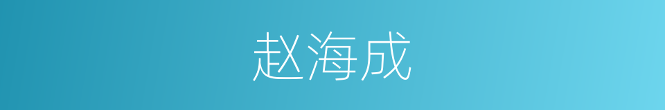 赵海成的同义词