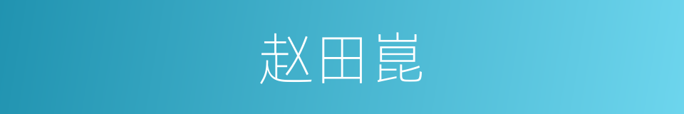 赵田崑的同义词