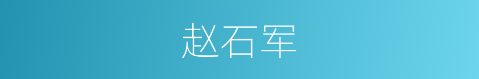 赵石军的同义词