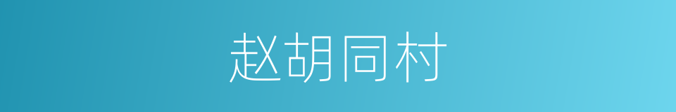 赵胡同村的同义词