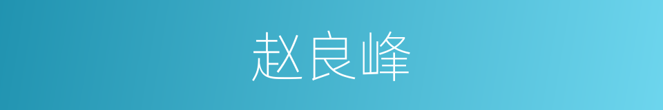 赵良峰的同义词