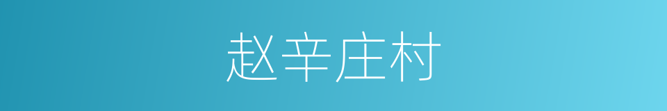 赵辛庄村的同义词