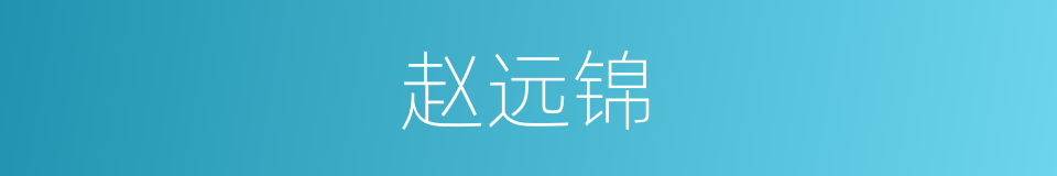 赵远锦的同义词