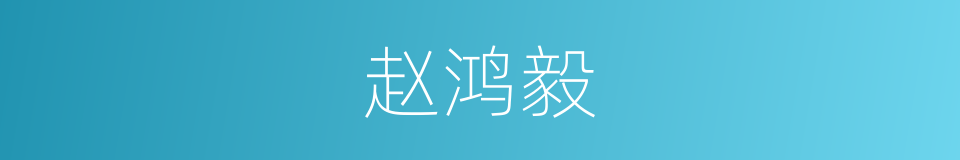 赵鸿毅的同义词