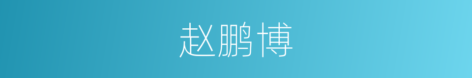 赵鹏博的同义词