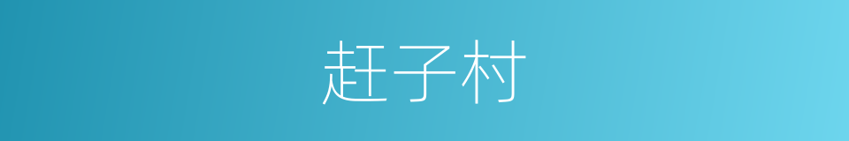 赶子村的同义词
